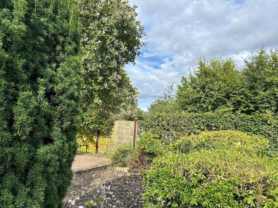 Abacus Cottage Whitwell-on-the-Hill Εξωτερικό φωτογραφία